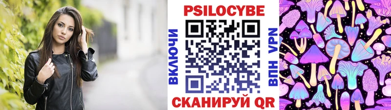 где купить наркоту  Ногинск  Галлюциногенные грибы Psilocybine cubensis 