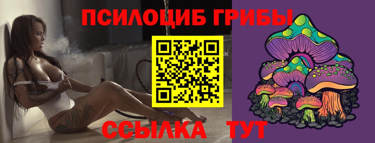 Ногинск  Псилоцибиновые грибы ЛСД  купить наркотик  Вход с VPN 