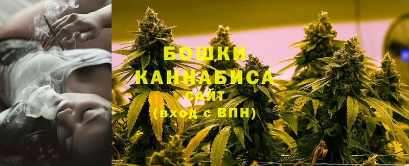 Бошки Шишки SATIVA & INDICA  Ногинск 